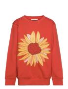 Sgbaptiste Sunflower Sweatshirt Red Soft Gallery