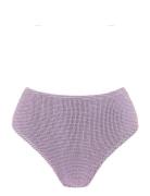 Palmer Brief Purple Bond-Eye