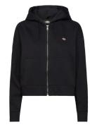 Oakport Zip Hoodie W Black Dickies