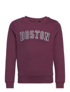 Nlmnoston Ls Bru O-Neck Sweat Burgundy LMTD