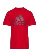 U Bl Tee Red Adidas Sportswear