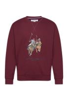 Uspa Sweat O Neck Ekrem Men Burgundy U.S. Polo Assn.