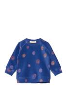 Sgbalexi Velvet Flower Sweat Blue Soft Gallery