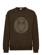 Loose Fit Sweat With Owl Print - Go Khaki Knowledge Cotton Apparel