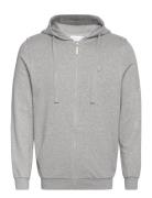 Ask Regular Zip Hood Kangaroo Badge Grey Knowledge Cotton Apparel