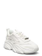 Possession-E Sneaker White Steve Madden