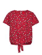 Kogpalma Knot S/S Top Ptm Red Kids Only