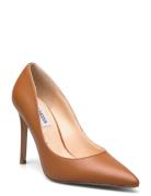 Evelyn-E Pump Brown Steve Madden