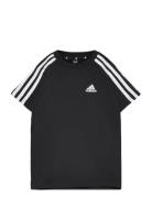 Lk 3S Co Tee Black Adidas Sportswear