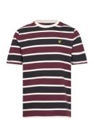 Stripe T-Shirt Burgundy Lyle & Scott