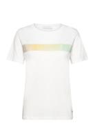 T-Shirt With Gradient Stripe - Mid White Coster Copenhagen