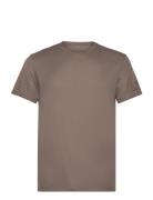 Borg Light T-Shirt Brown Björn Borg