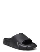 Charge Slide Black Steve Madden