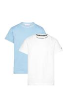Intarsia 2-Pack Ss T-Shirt Patterned Calvin Klein