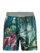 Swimming Shorts Patterned Sun City Jurassic Park