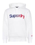 Core Logo Loose Hood White Superdry