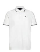 Polo White Champion