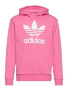 Trefoil Hoodie Pink Adidas Originals