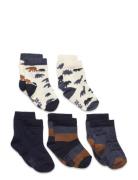 Socks W. Pattern Patterned Minymo