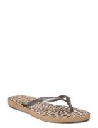 Hav Slim Animals Brown Havaianas