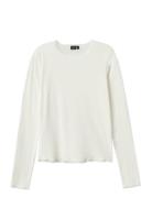 Nlfkab Ls Short S Top White LMTD