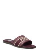 Knox Sandal Burgundy Steve Madden