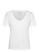 Short-Sleeved Cotton T-Shirt White Mango