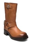 Blessing Boot Brown Steve Madden