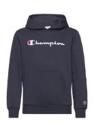 Hooded Sweatshirt Navy Champion