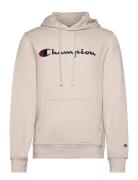 Hooded Sweatshirt Beige Champion