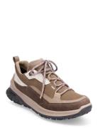 Ult-Trn W Brown ECCO