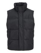 Jjebradley Bodywarmer Sn Black Jack & J S