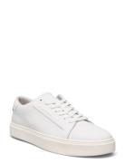 Low Top Lace Up Lth White Calvin Klein