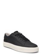 Low Top Lace Up Lth Black Calvin Klein