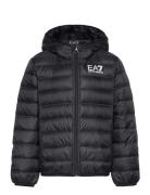 Down Jacket Black EA7