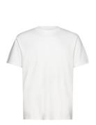 Hco. Guys Knits White Hollister