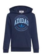 Hoodie Navy Adidas Originals