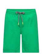 Nilson Solid Green Molo