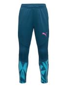 Individualfinal Training Pants Jr Blue PUMA