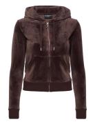 Robertson Class Brown Juicy Couture