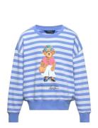 Polo Bear French Terry Sweatshirt Blue Ralph Lauren Kids