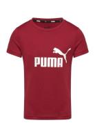 Ess Logo Tee G Burgundy PUMA