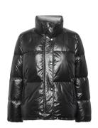 D1. Cropped Down Jacket Black GANT