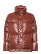 D1. Cropped Down Jacket Brown GANT