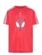 Lb Dy Sm T  Adidas Sportswear