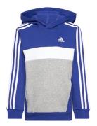 J 3S Tib Fl Hd Blue Adidas Sportswear