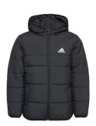 Jk Pad Jkt Black Adidas Sportswear