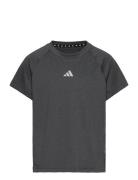 Jg Tee Lux Grey Adidas Sportswear