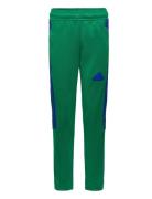 J Np Tiro Pant Green Adidas Sportswear