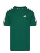 U 3S Tee Green Adidas Sportswear